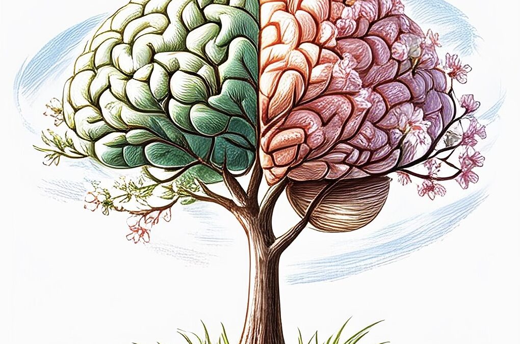 SÍNDROME DEL HEMISFERIO DERECHO en Neuropsicología