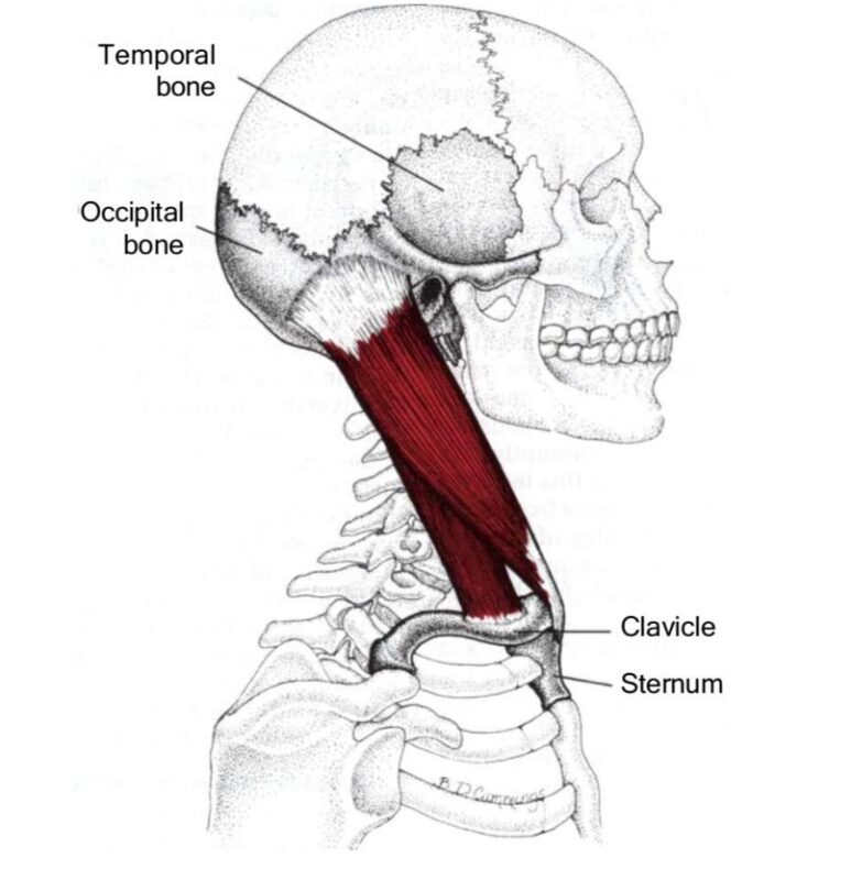 «DIVINAS PALABRAS» (I)