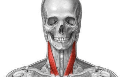 “DIVINAS PALABRAS” (II)