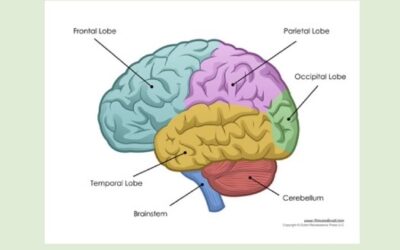 ESPECIALISTAS EN RECUPERAR TU AUTONOMÍA